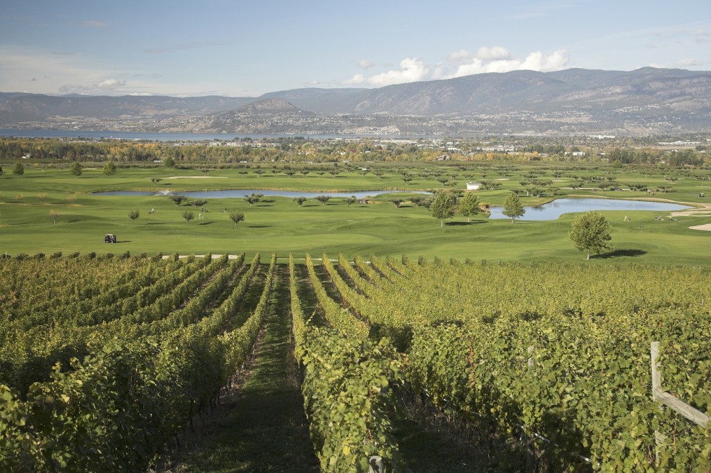 The 7,109-yard Harvest Golf Club has been recognized as one of the best courses in Kelowna.